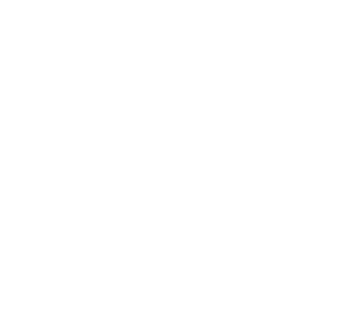 Your Company